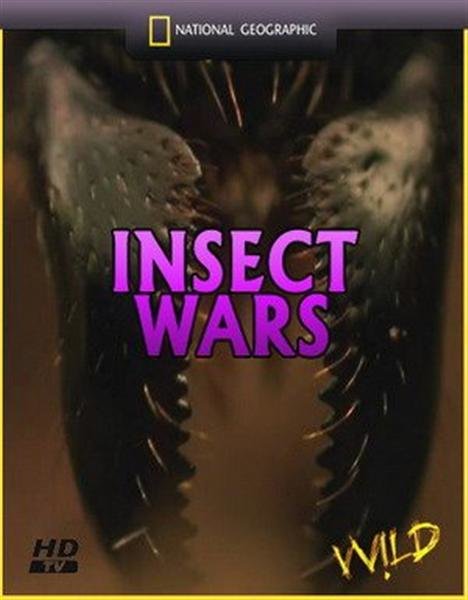 Войны насекомых